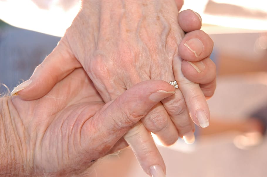 selective, focus photography, person, holding, hands, together, grandparents, senior, family, love