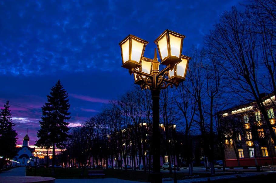 night, lamp post, russian night, evening, glow, blue, street, illuminated, tree, street light