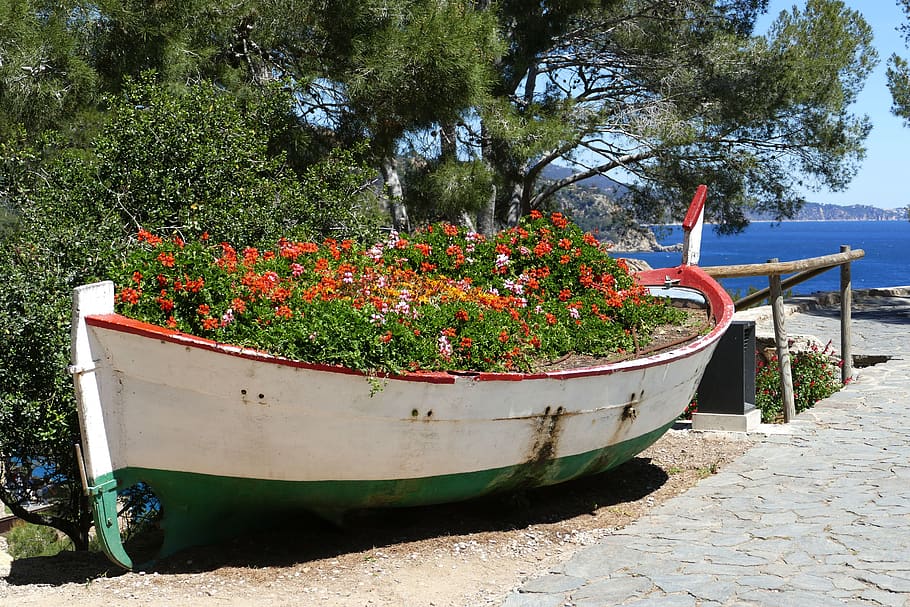 spain, costa brava, landscape, mediterranean, tossa de mar, boat, ship, flowers, plant, growth