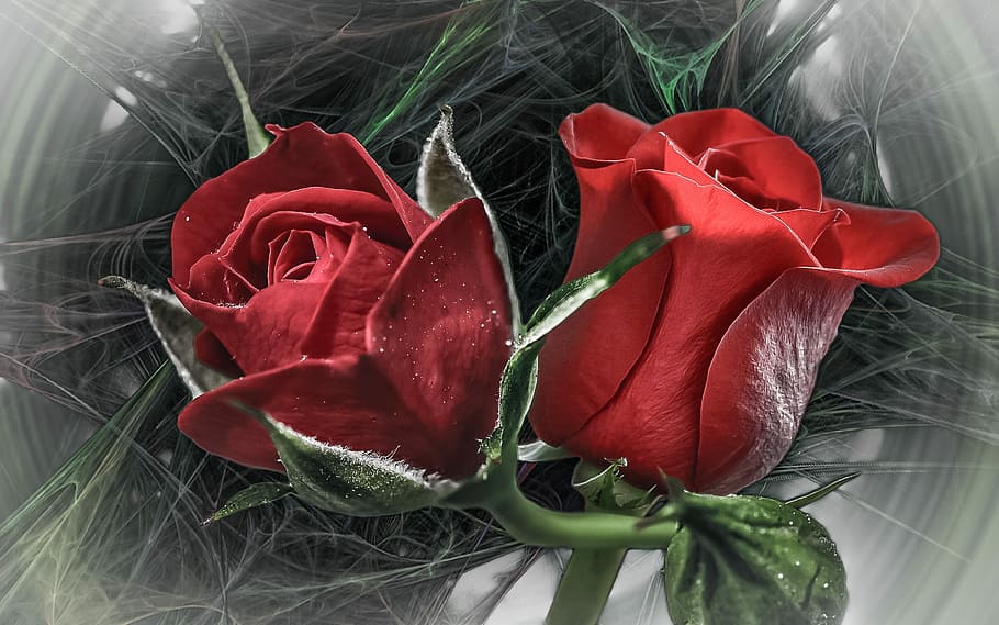 Red Roses Inside Glass Rose Flower