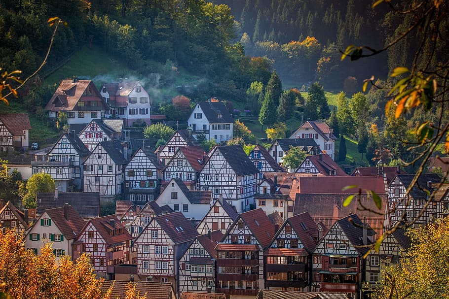 aerial, photography, buildings, surrounded, trees, schiltach, truss, architecture, facade, old town