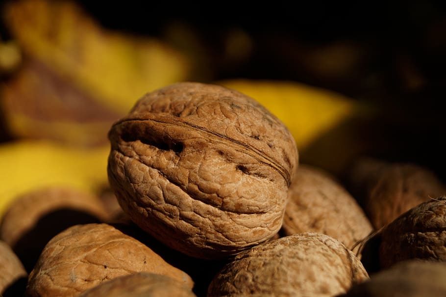 walnut, crop, brown, stone, food, fruit, healthy, autumn, nature, food and drink