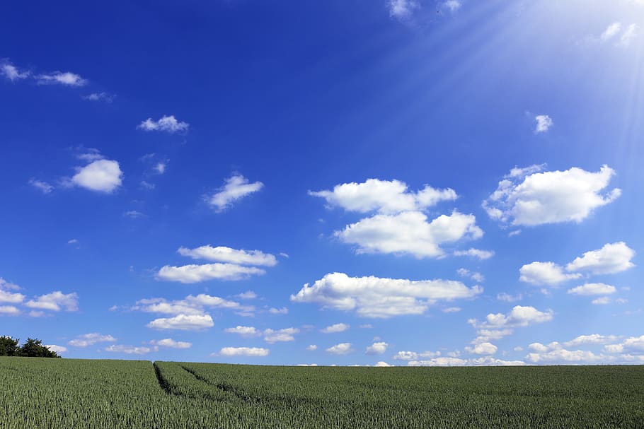 blue, sky, clouds, sunshine, grass, green, fields, cloud - sky, land, field