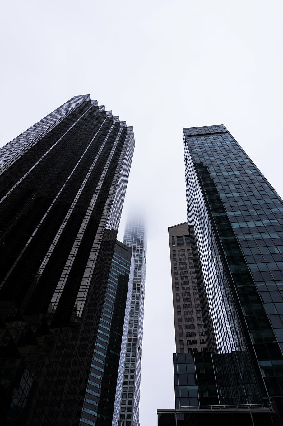 fotografía de ángulo bajo, rascacielos, edificios, durante el día, negro, azul, alto, subida, edificio, día