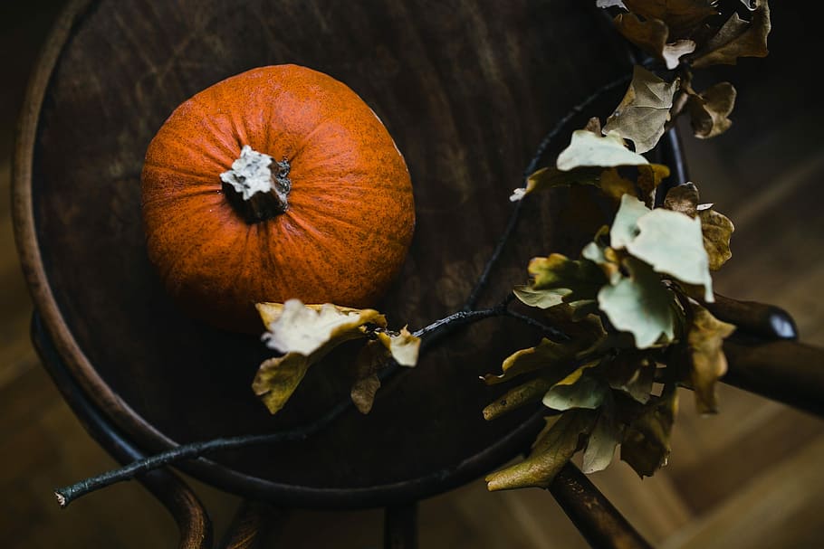 calabaza de otoño, otoño, calabaza, halloween, acción de gracias, madera - material, alimentos, naturaleza, hoja, vegetal