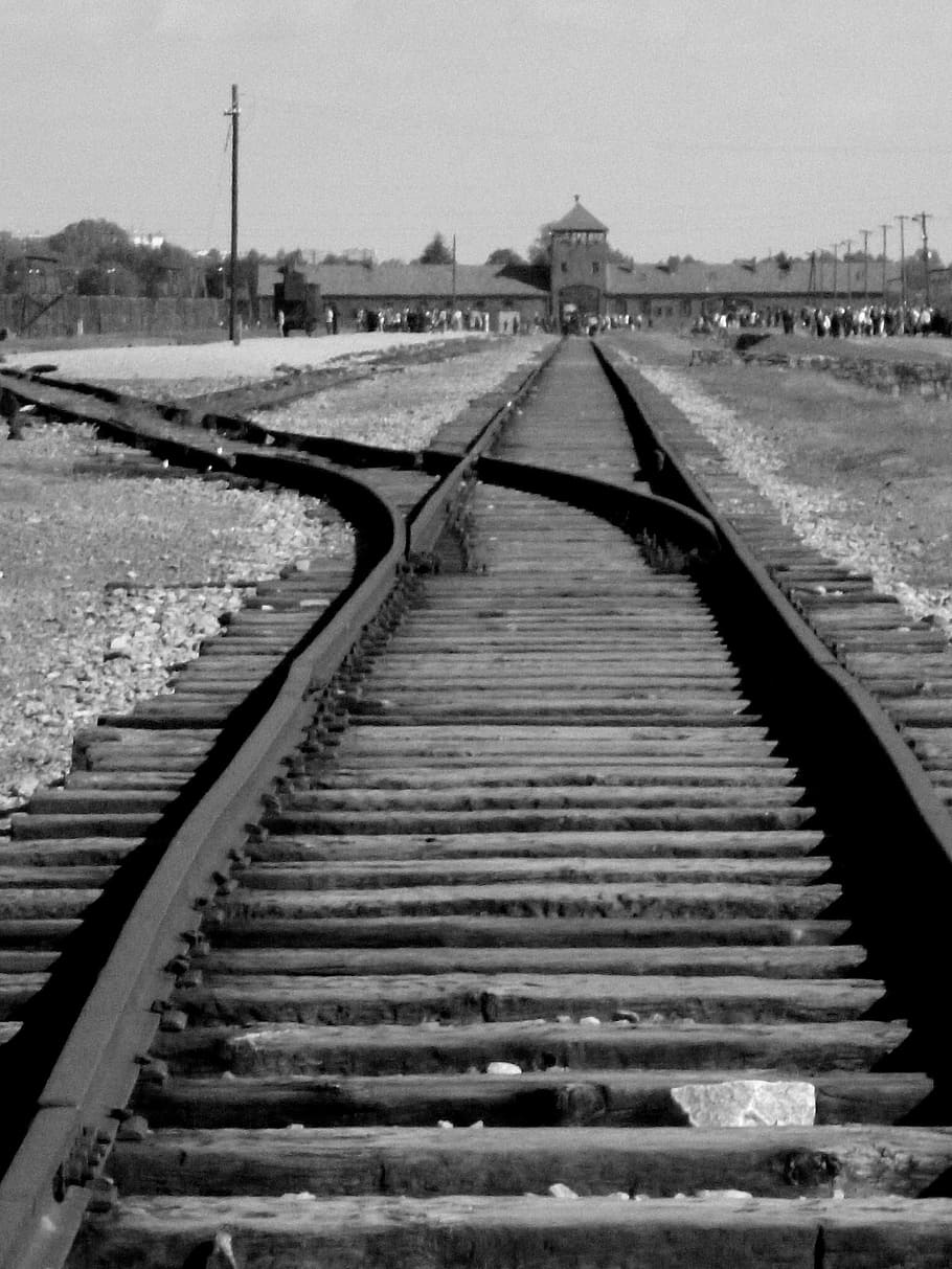 campo de concentração, polônia, ferrovia, preto e branco, transporte, transporte ferroviário, faixa, via férrea, perspectiva decrescente, o caminho a seguir