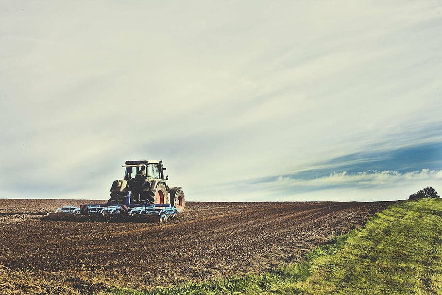 combine, harvester, field, agricultural machine, arable, agriculture, agricultural tractor, agricultural, agro photo, agrartechnik