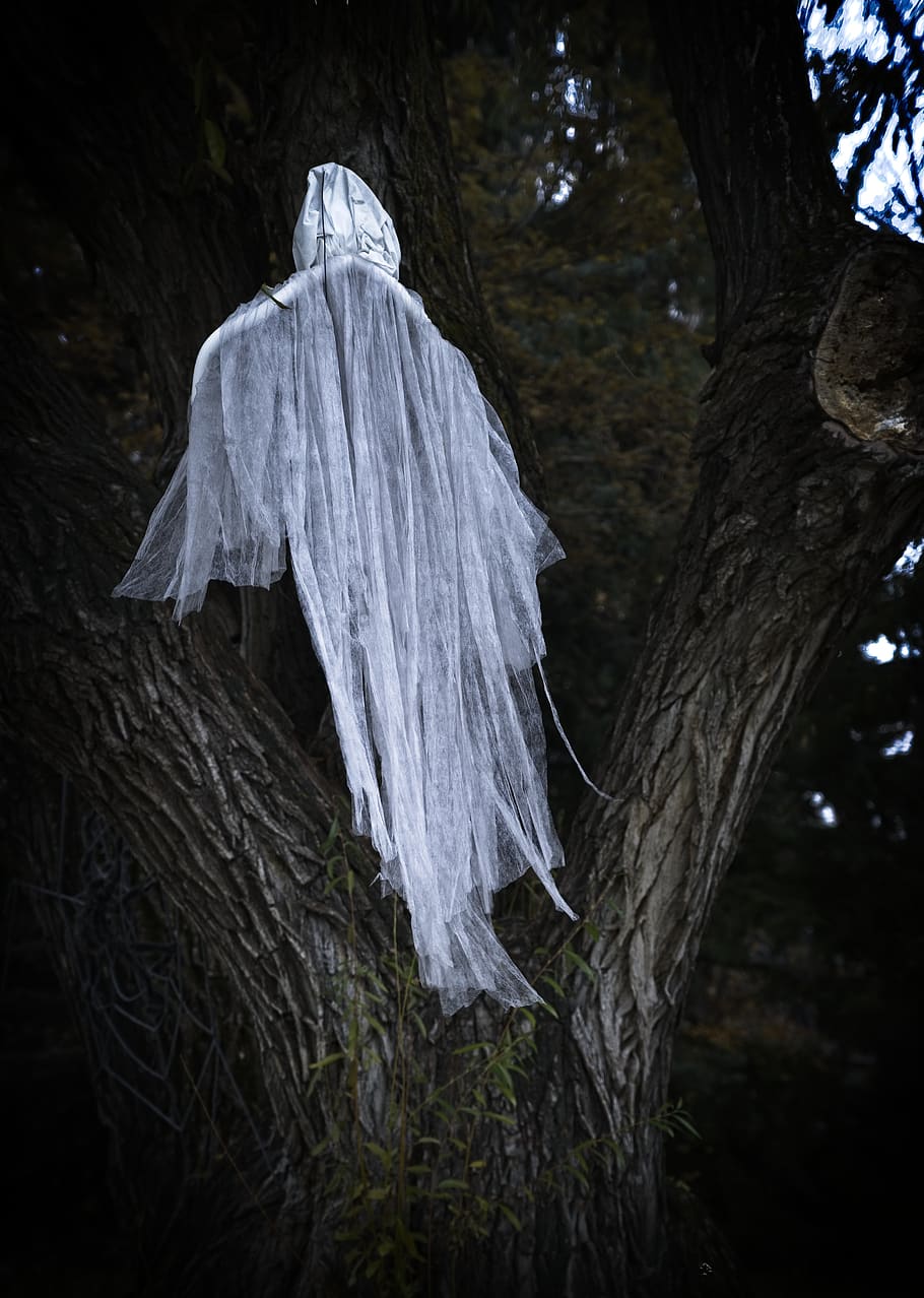 halloween, patung, hantu, menyeramkan, semangat, gelap, gaib, pohon, willow, paranormal
