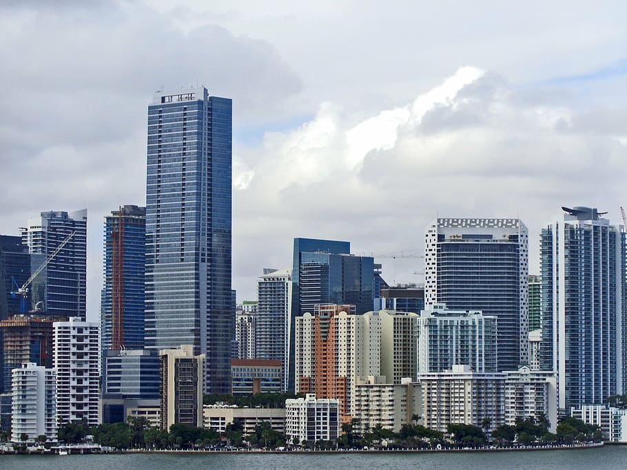 assorted, buildings, body, water, miami, downtown miami, tall buildings, cityscape, city, florida