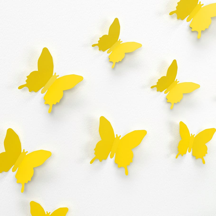 butterfly, wall, decoration, color, paper decoration, colorful, pleasure, sticker, yellow, close-up