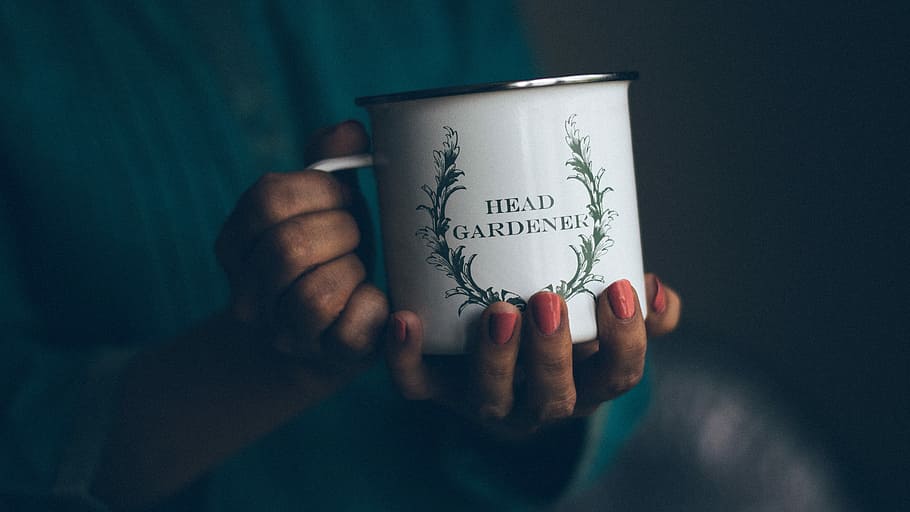 person, holding, white, head gardener mug, white Head, Head Gardener, mug, blue, cups, gray