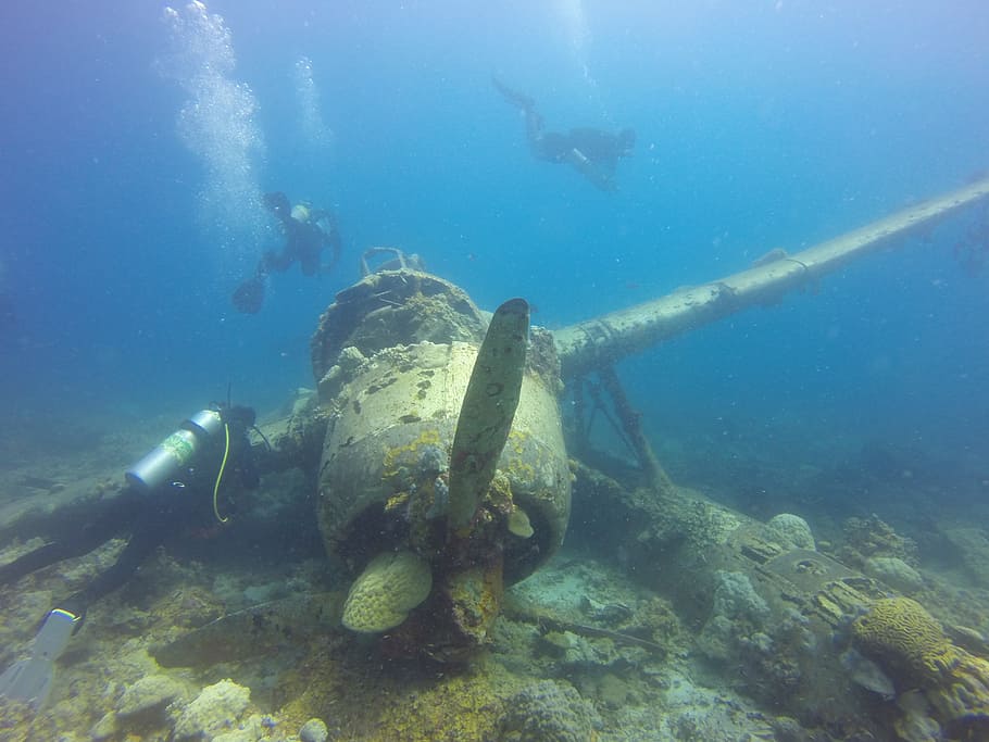 three, divers, swam, propeller plane, underwater, seaplane, palau, shipwreck, plane wreck, wreck