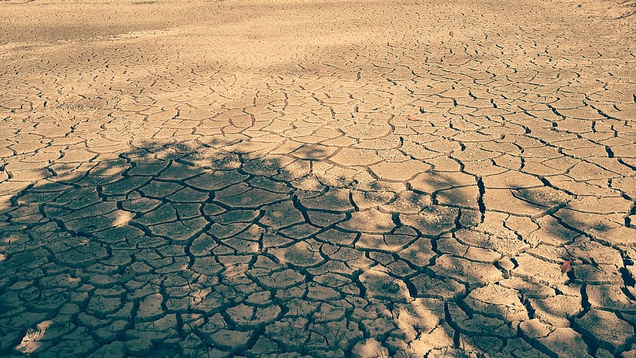 dried up, land, water, climate, drought, arid climate, dry, environment, scenics - nature, cracked