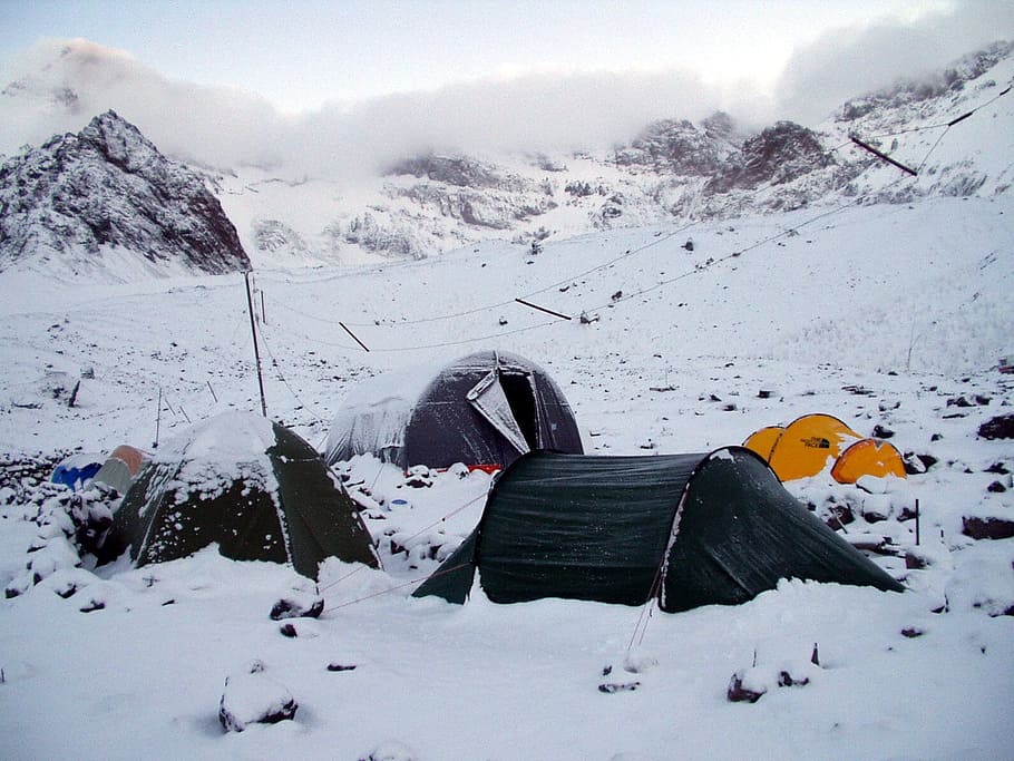 four, camping tents, white, snow mountain, daytime, snow, stock, base camp, aconcagua, expedition