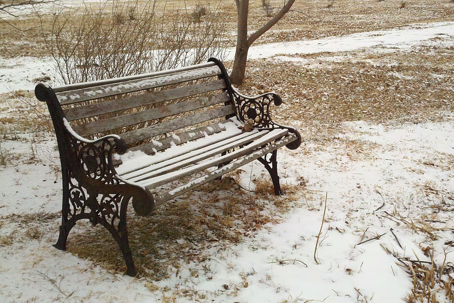 bench, park, snow, winter, grass, cast iron, wood, seat, cold, quiet