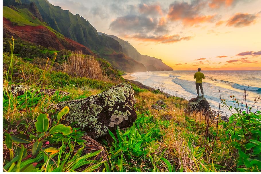 man, standing, atop, rock, looking, sea, hawaii, pacific ocean, hike, hiking