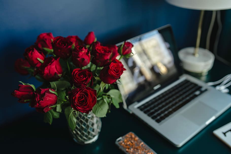 オフィスデスクテーブル, 赤, バラ, オフィス, デスク, テーブル, 赤いバラ, 女性, 花, ローズ
