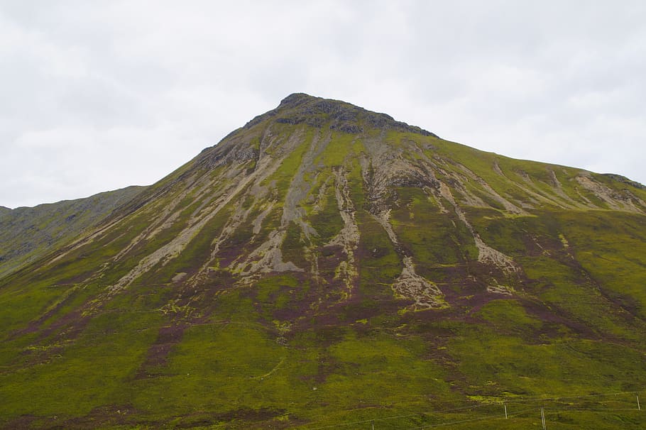 mountain, scotland, erika, color, bloom, landscape, nature, blossom, isle of skye, hill