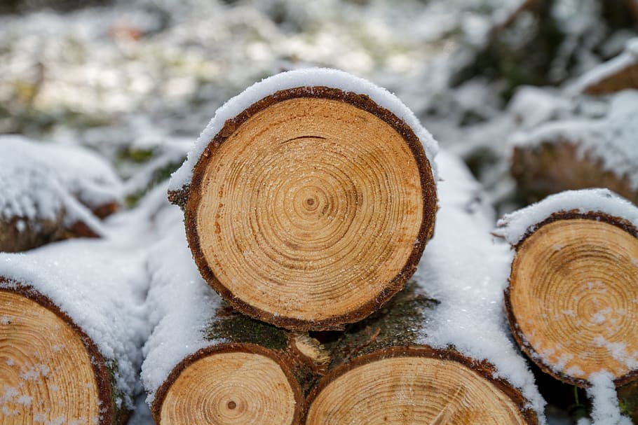 pile of firewoods, wood, woods, chop wood, background, nature, tree, forest, snow, log