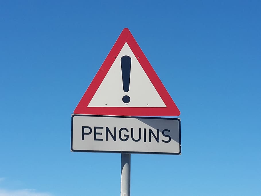 warning street signage, penguins, south africa, beach, bird, animal, cape point, africa, street sign, sign