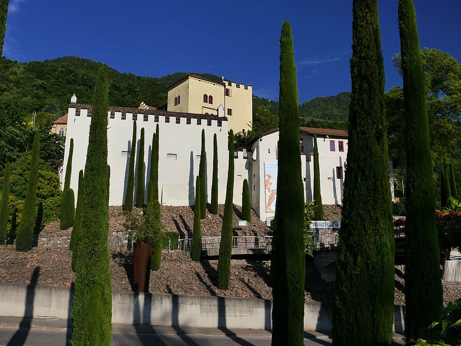замок траутмансдорф, меран, италия, ботанический сад, растение, Внешний вид здания, архитектура, построенная структура, дерево, здание