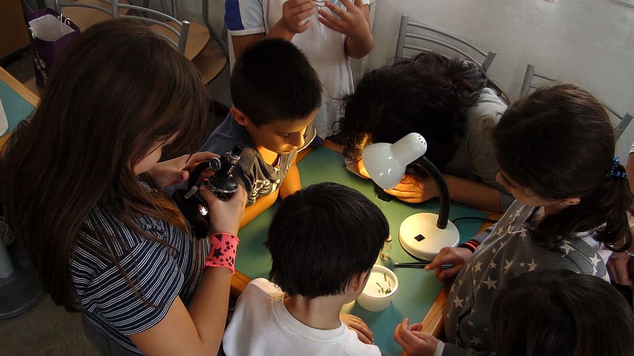 group, children, looking, table, they investigate, microscope, science, group of people, child, women