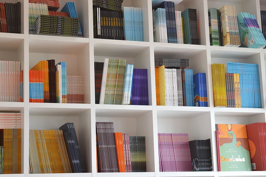 books, bookcase, organization, library, luggage, reading room, publisher, bookshelf, shelf, publication