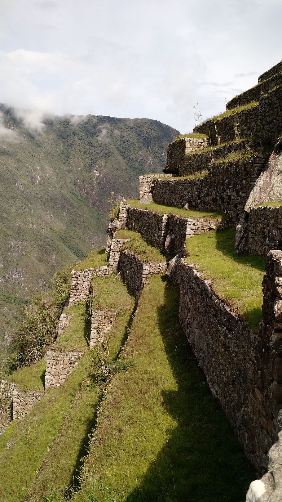 Machu Picchu, Cusco, Peru, história, passado, arquitetura, grama, antiga, natureza, plantar