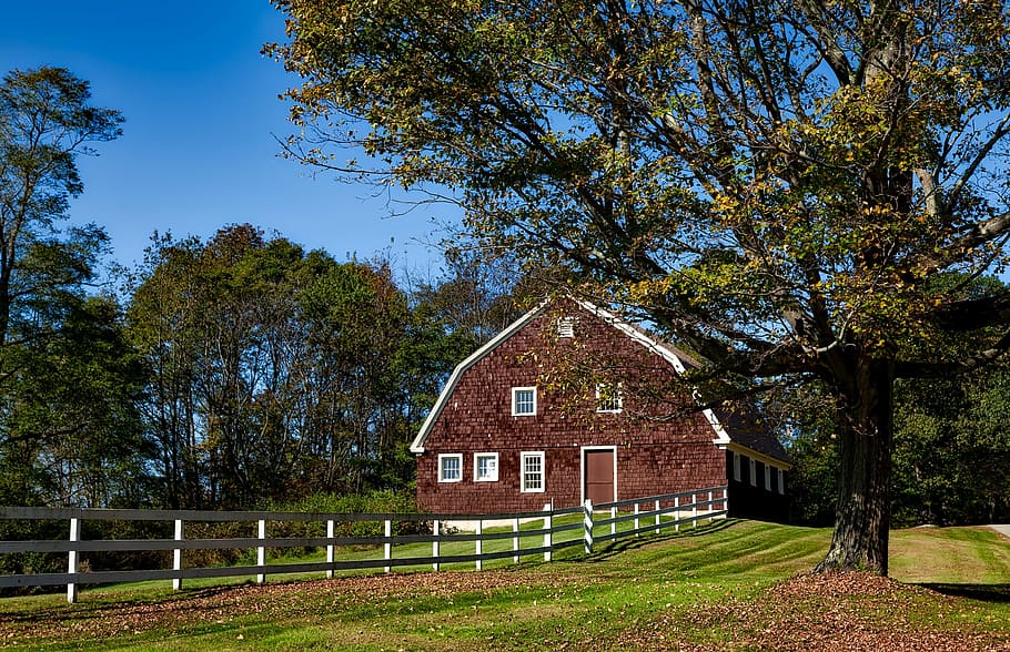 barn, connecticut, fall, autumn, foliage, fallen leaves, meadow, field, hdr, landscape