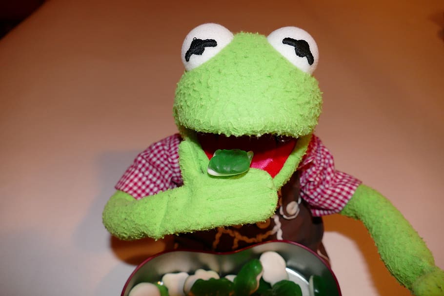 kermit, frog, eat, gummibärchen, rubber frogs, green, doll, representation, close-up, green color