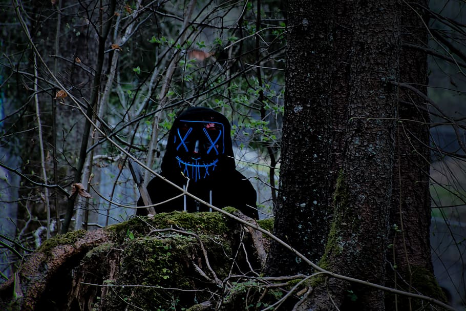 mask, purge, creepy, darkness, mysterious, tree, plant, forest, land, nature