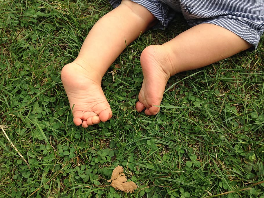 baby, green, grass, feet, nature, human Hand, outdoors, real people, one person, plant