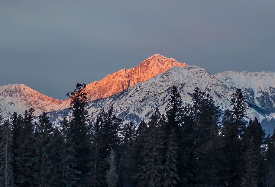 fotografia de paisagem, montanha, coberto, neve, alto, árvores, dentro, alcance, cinza, nuvens