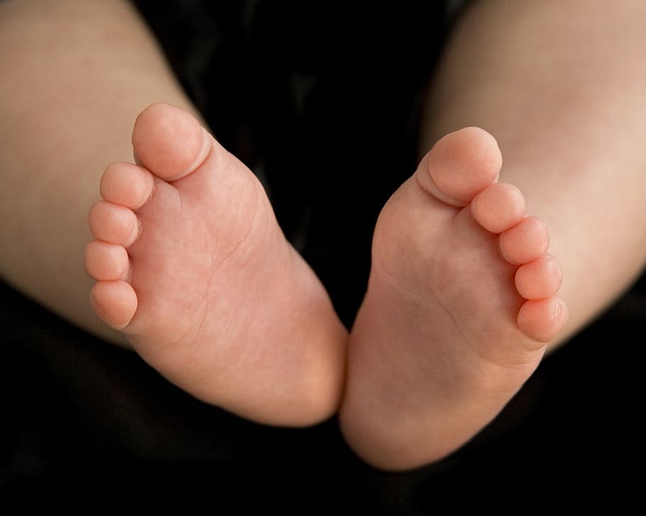 baby, feet, toes, human body part, human foot, body part, barefoot, human leg, low section, one person