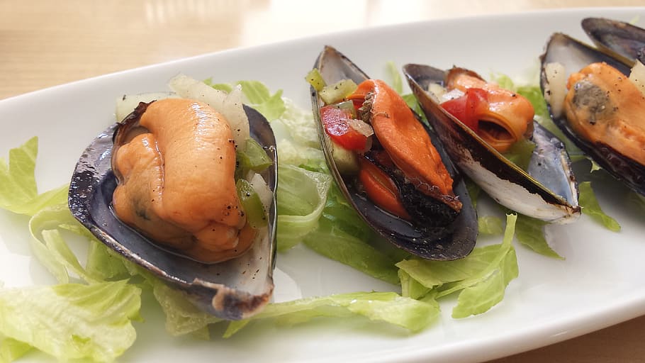 Mussels, Food, Table, food and drink, plate, ready-to-eat, seafood, healthy eating, vegetable, wellbeing
