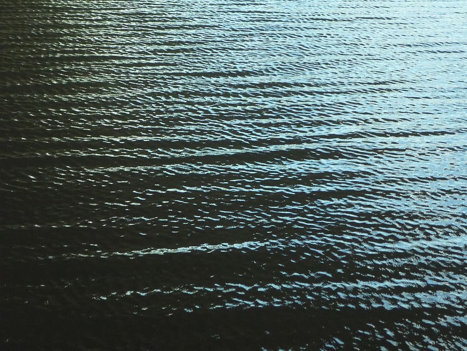 olas, agua, superficie, claroscuro, río, actual, rizado, sombra, luz, azul
