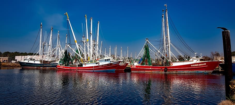 bayou la batre, alabama, bay, harbor, hdr, reflections, ships, boats, shrimp boats, industry