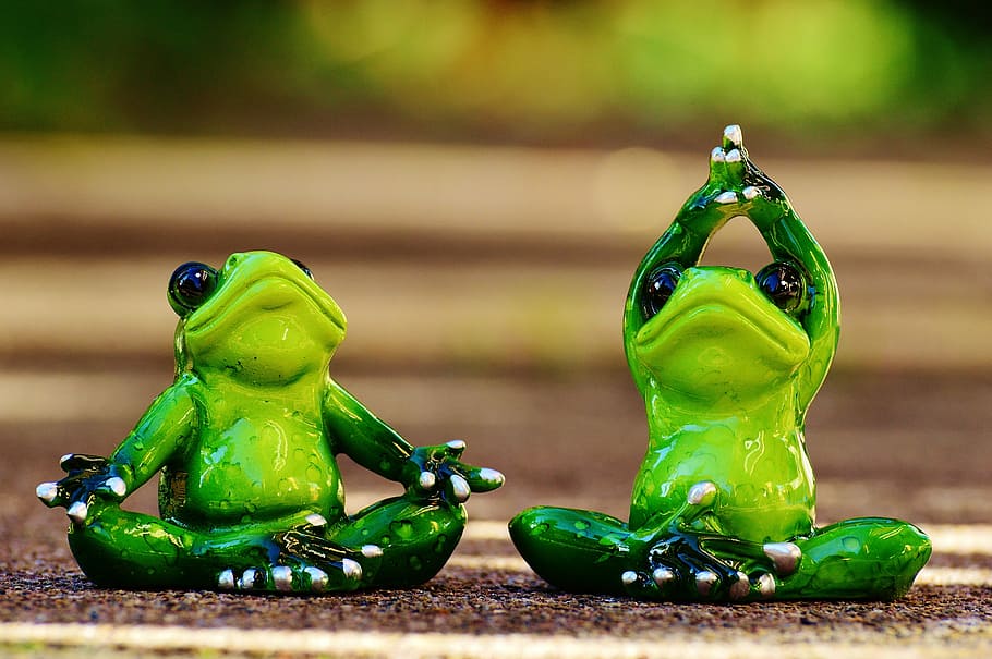 two, green, frog figurines, tilt-shift lens photo, frogs, figure, yoga, gymnastics, funny, frog