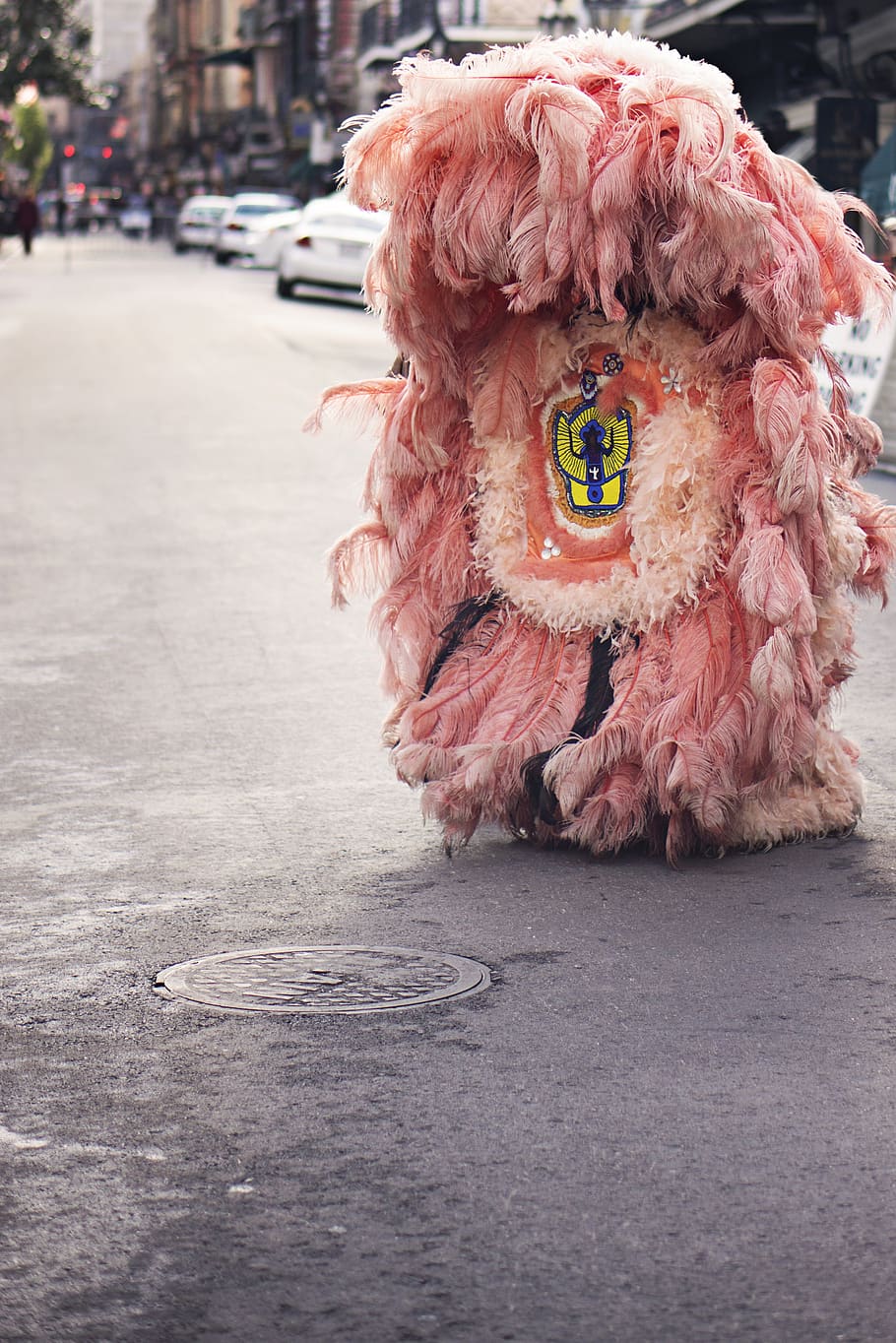 pink, costume, fur, street, pavement, manhole, city, focus on foreground, day, animal