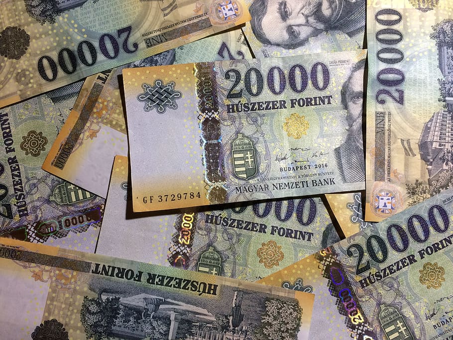 money, forint, twenty thousand, huf, background, banknote, paper money, bills, deák, currency