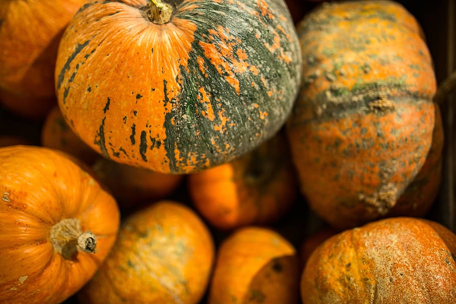 orange, pumpkin, close-up, vegetable, Close-ups, pumpkins, wooden, box, food, food and drink