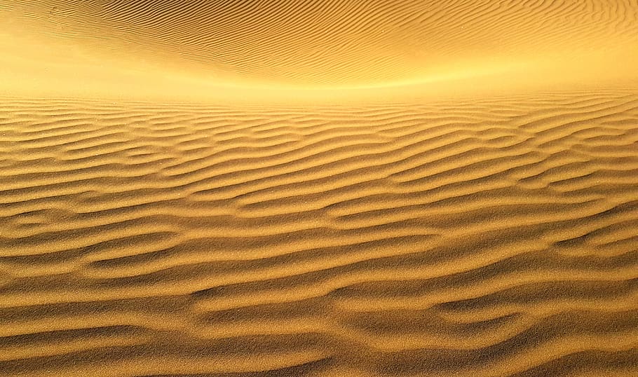 sand dune, sand, desert, landscape, dry, hot, nature, travel, canary island, maspalomas