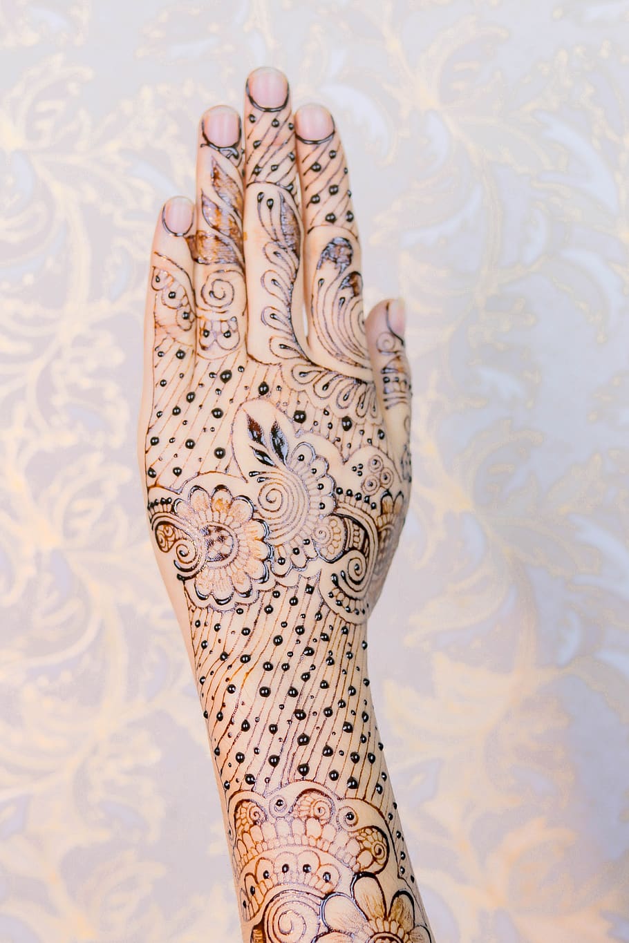 henna, novia, boda, cultura, moda, matrimonio, mujer, mehendi, tradicional, ritual