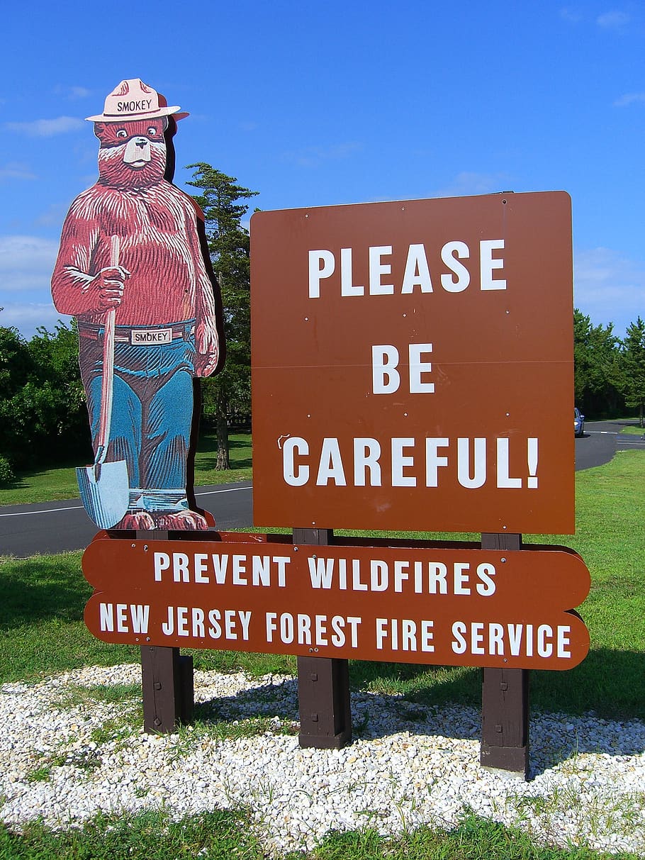 smokey, bear, fire prevention, new jersey, icon, character, animal, hero, wildfire, vintage