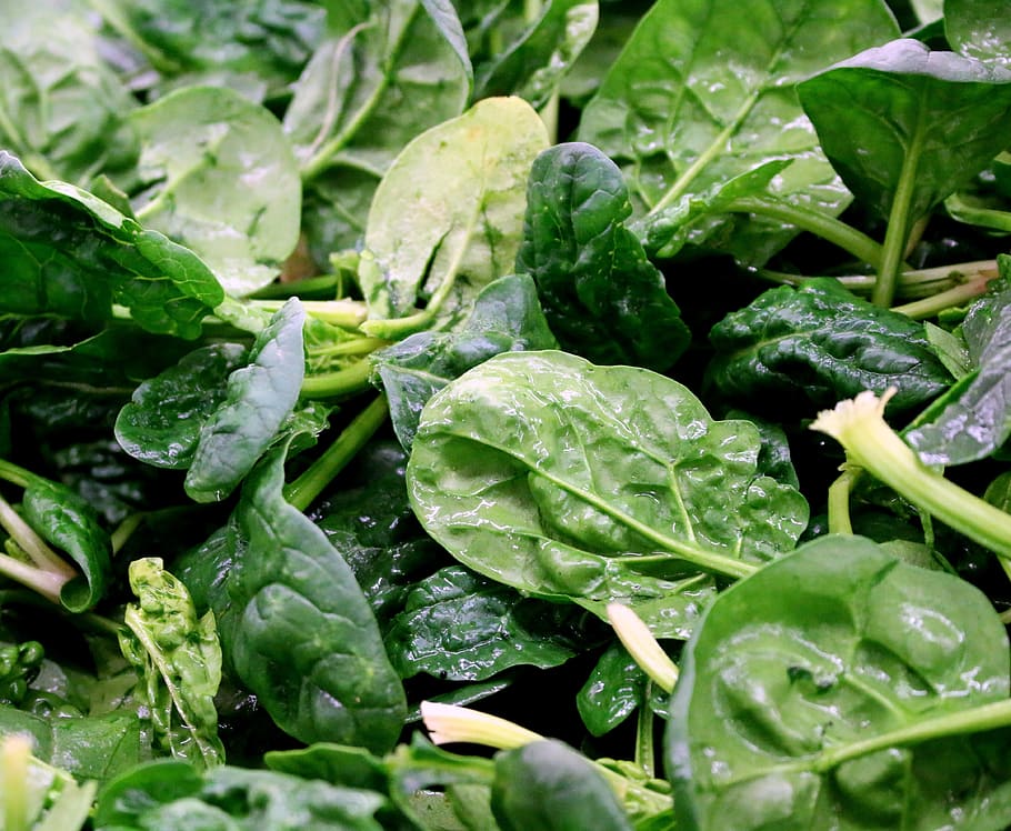 vegetable, spinach, organic, greens, salad, crisp, vegetarian, raw, vegan, green color