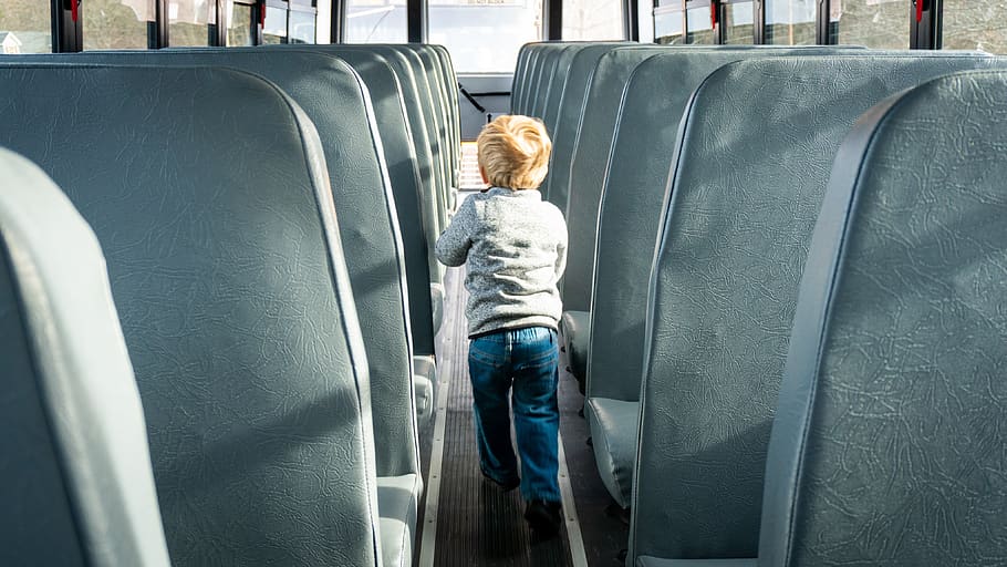 autobús escolar, interior del autobús escolar, niño de escuela, escuela primaria, transporte, escuela, educación, niño, estudiantes, niños