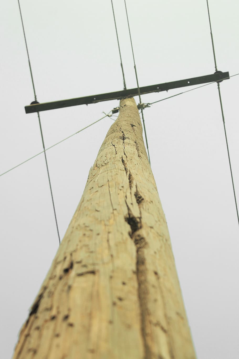 electricity, cables, wooden poles, electrical wires, line, high, power, electrical, electric, wire