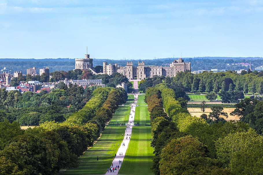 aerial, view, green, leafed, trees, daytime, windsor castle, park, building, alley