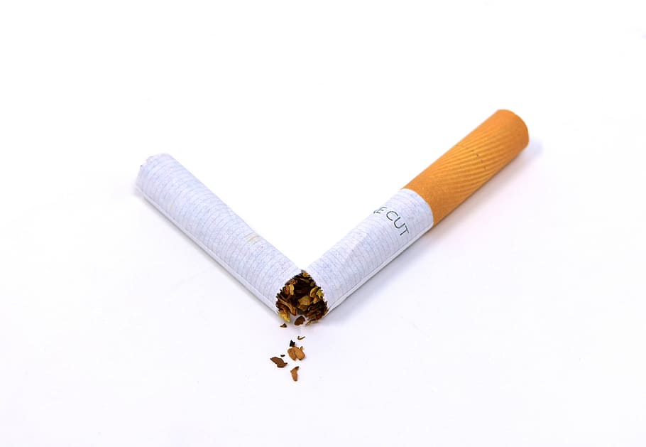 cigarro, quebrado, prejudicial à saúde, tabagismo, vício, dependência, tabaco, prejudicial, fundo branco, foto de estúdio