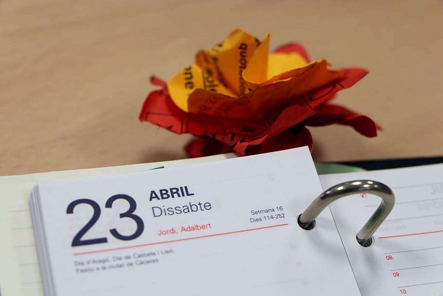 flor de papel, calendário, dia, escritório, papel, flor, floral, trabalho, decoração, texto